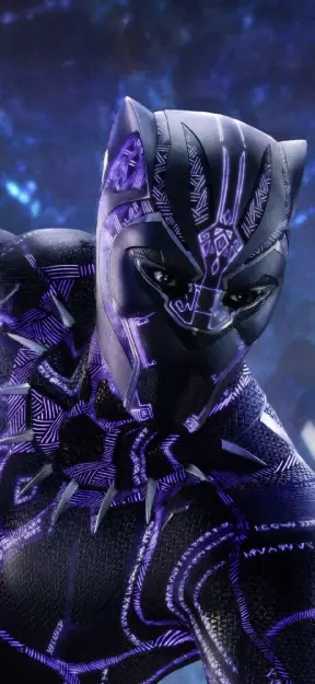 Black Panther Vibranium Suit