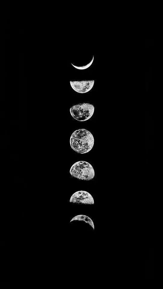 moon cycle 